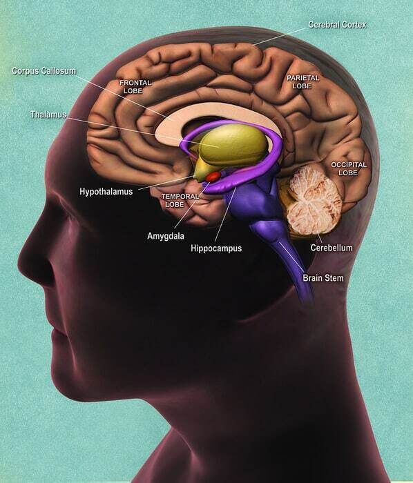    National Institute on Aging, National Institutes of Health