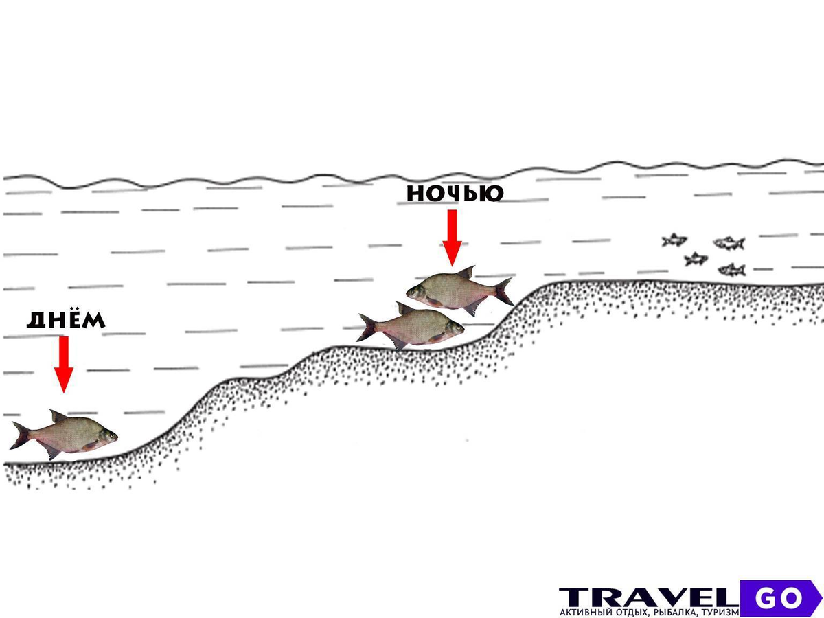 Фото с сайта: https://poseidonm.ru