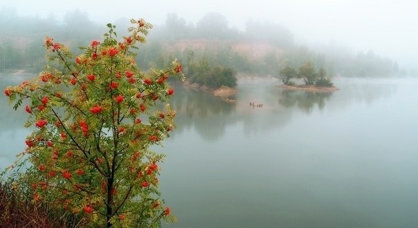 Фото из открытых источников Google.