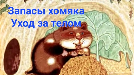 Хомячьи запасы. Уход за телом