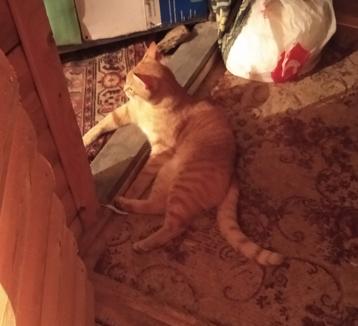 Личное фото