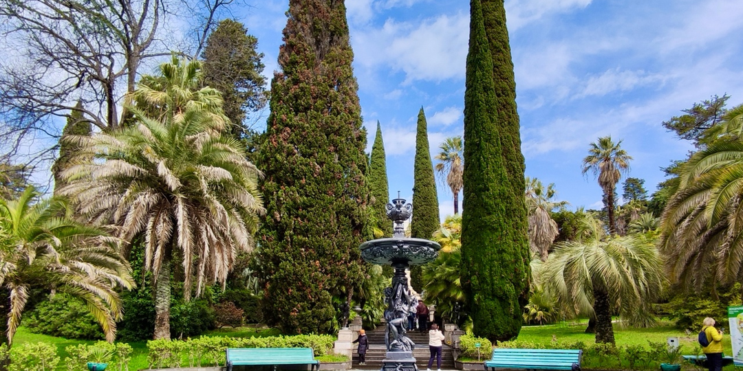 Что посмотреть в Центральном Сочи. 6 ярких мест + бонус