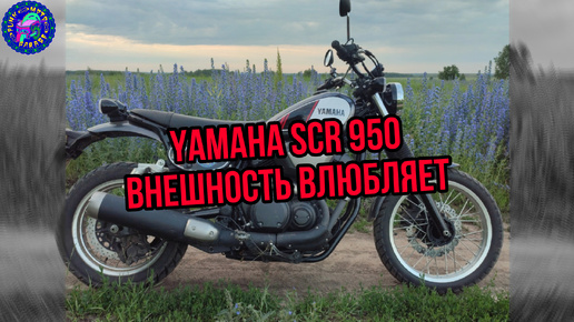 Yamaha SCR 950 СКРЕМБЛЕР С ХАРАКТЕРОМ(и он продается)