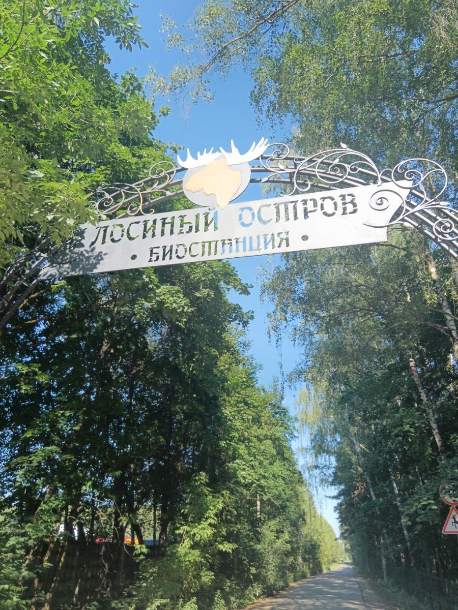 Московская обл., Мытищи, Кропоткинский проезд. Координаты - 55.879232, 37.784390. Фото из личного архива Языковой А.В.