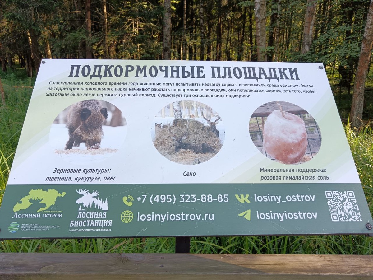 Лосиный остров лабиринт