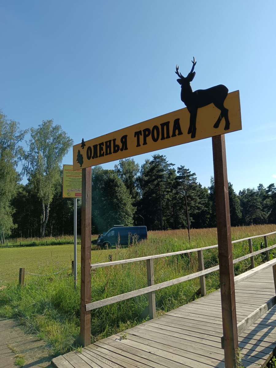 Самостоятельный обзорный маршрут по Лосиному острову. Фото из личного архива Языковой А.В.