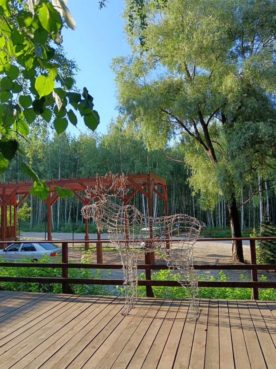 Самостоятельный обзорный маршрут по Лосиному острову. Фото из личного архива Языковой А.В.