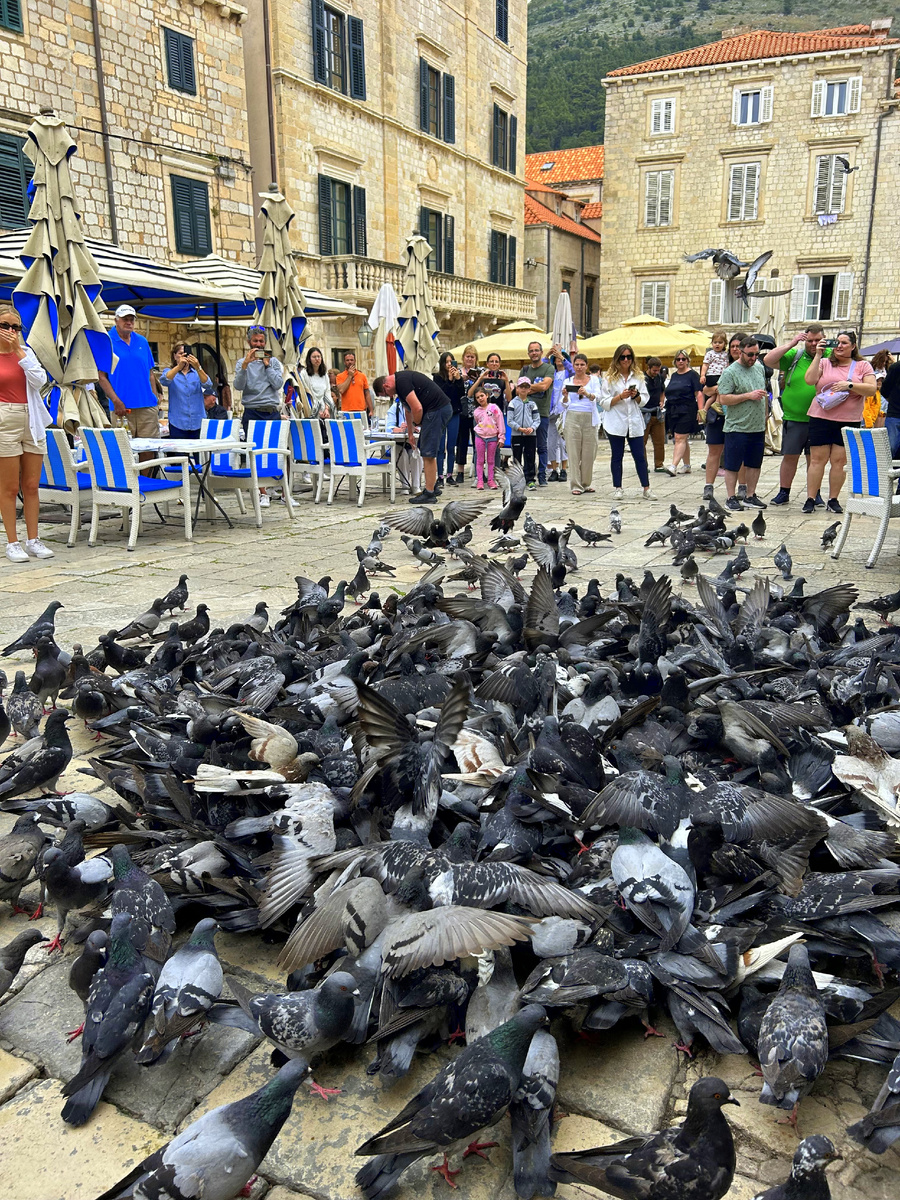 Ulica Petra Krešimira IV, Дубровник