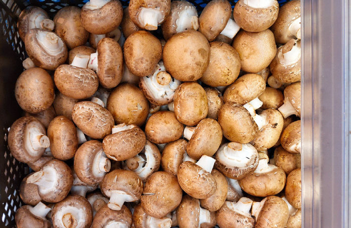    Галина Беляева / Фотобанк Лори