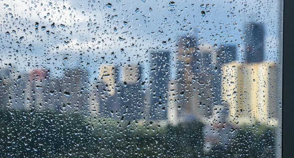    Konstantin Kokoshkin / Global Look Press