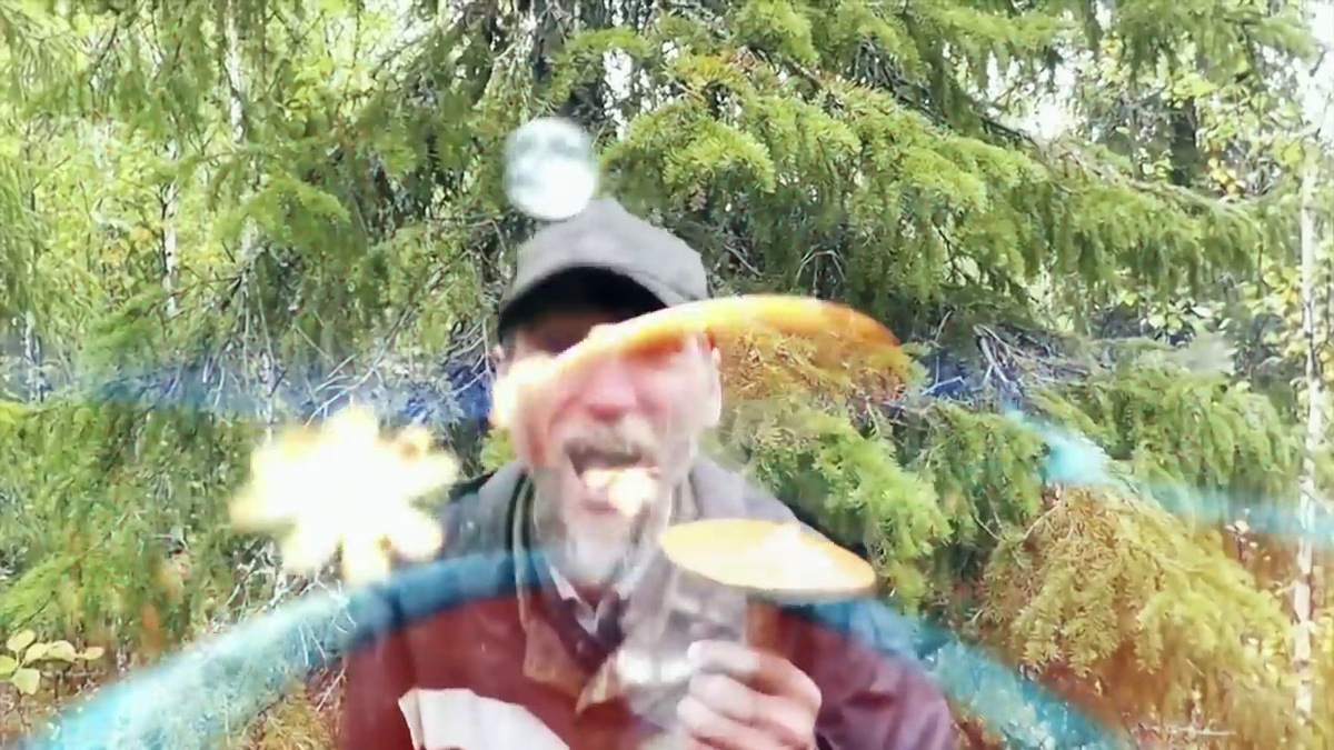 Из Яндекса