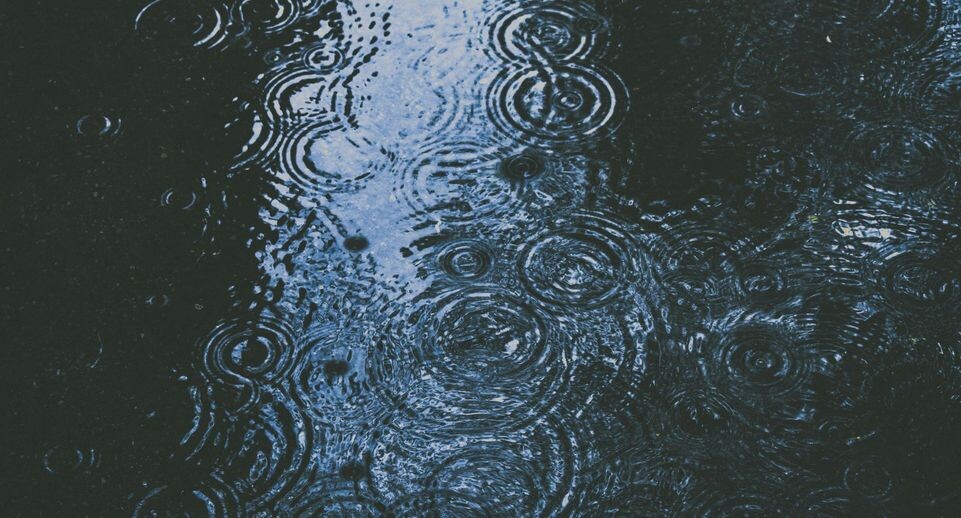    Unsplash