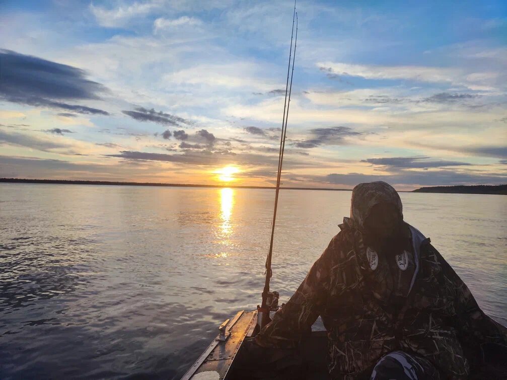 Правда, что Daiichiseiko так хорош?