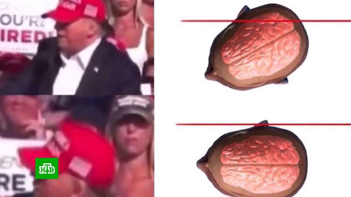    Отклонение на сантиметр: Трампа спасла манера активно жестикулировать