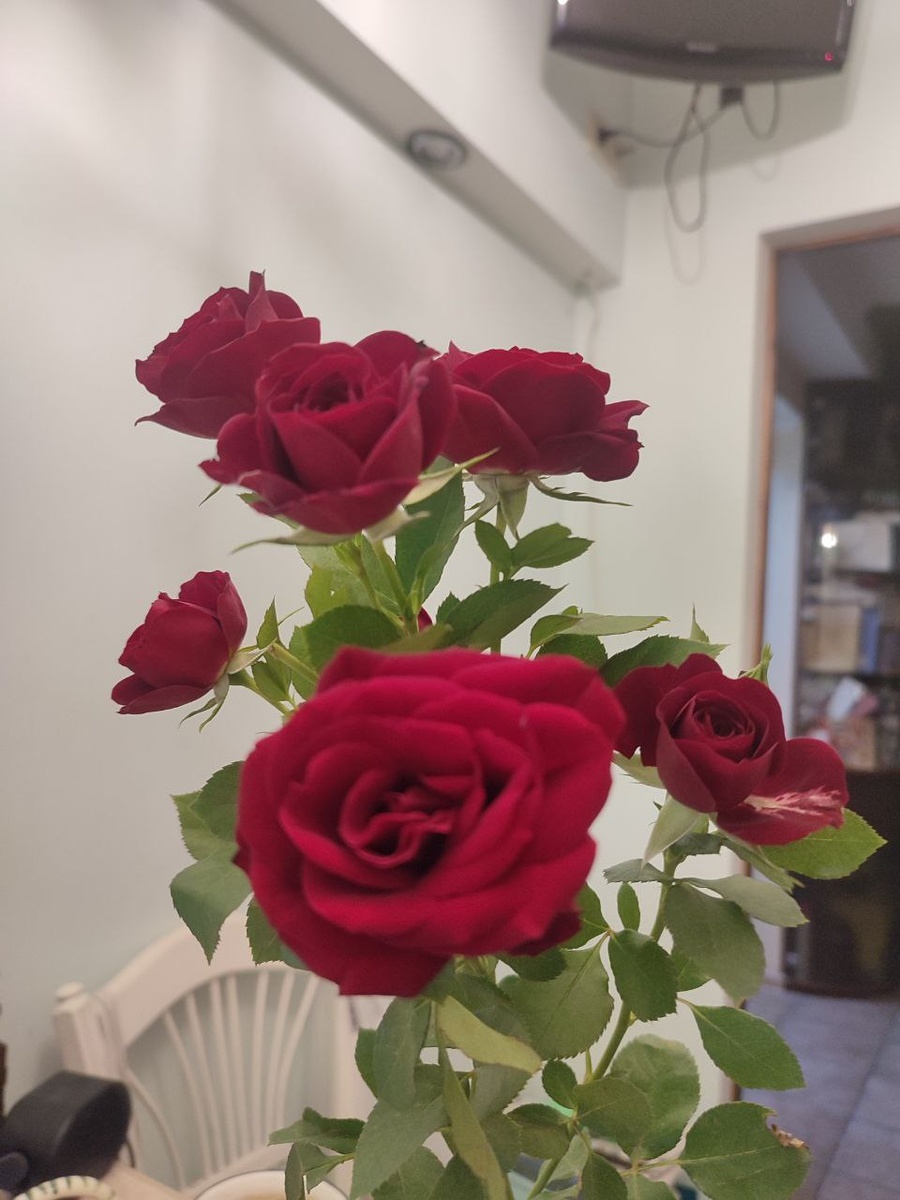 Из плюсов периода активных знакомств - вазы в моем доме не пустую уже несколько лет.