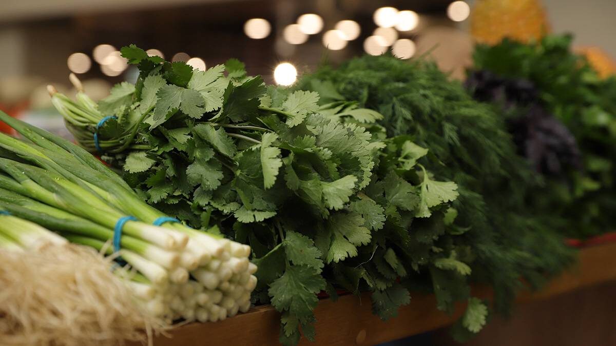    Фото: Анатолий Цымбалюк / Вечерняя Москва