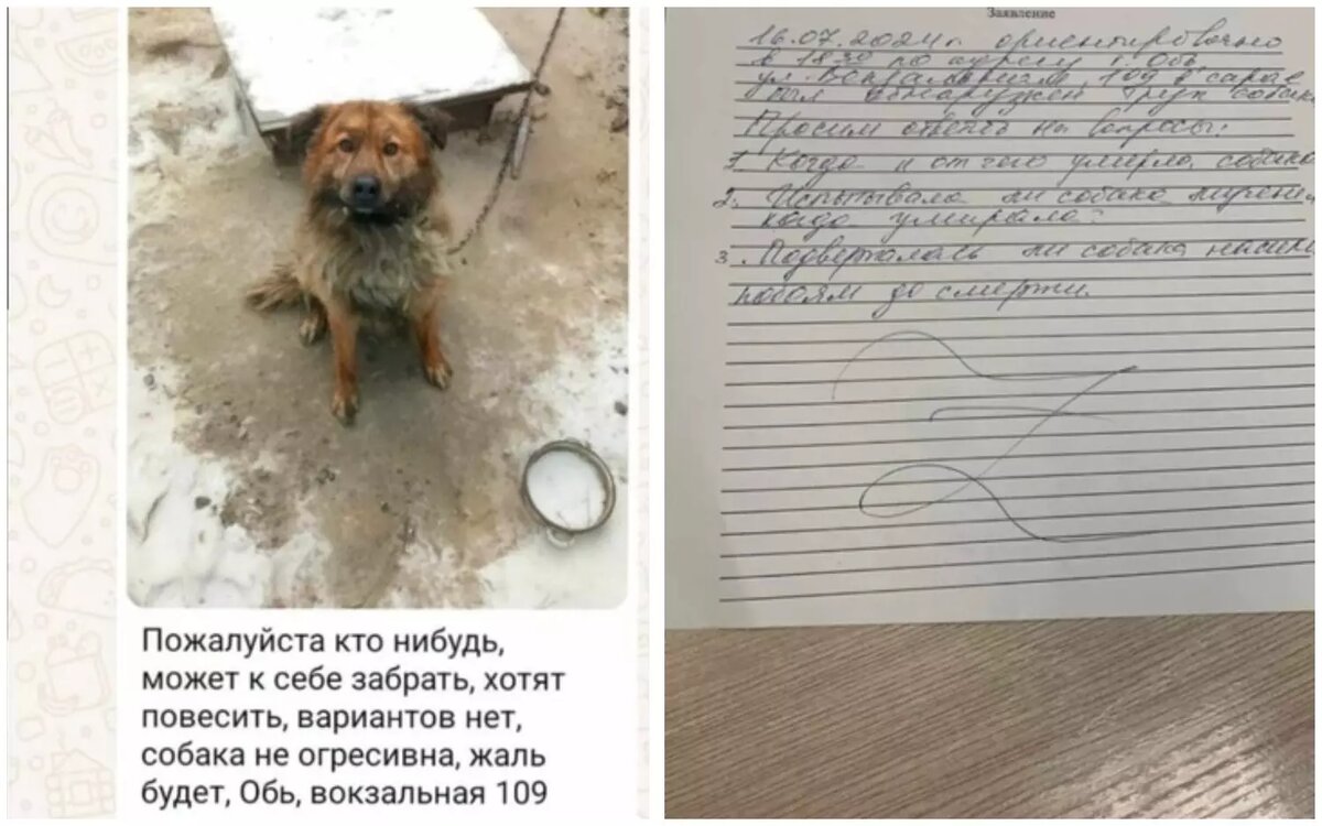     Источник: vk.com/nck100