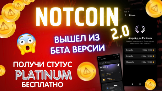 NOTCOIN 2.0 РАНГ PLATINUM. СКОЛЬКО УДАЛОСЬ ЗАРАБОТАТЬ? ДЕЛЮСЬ СВОИМ ОПЫТОМ