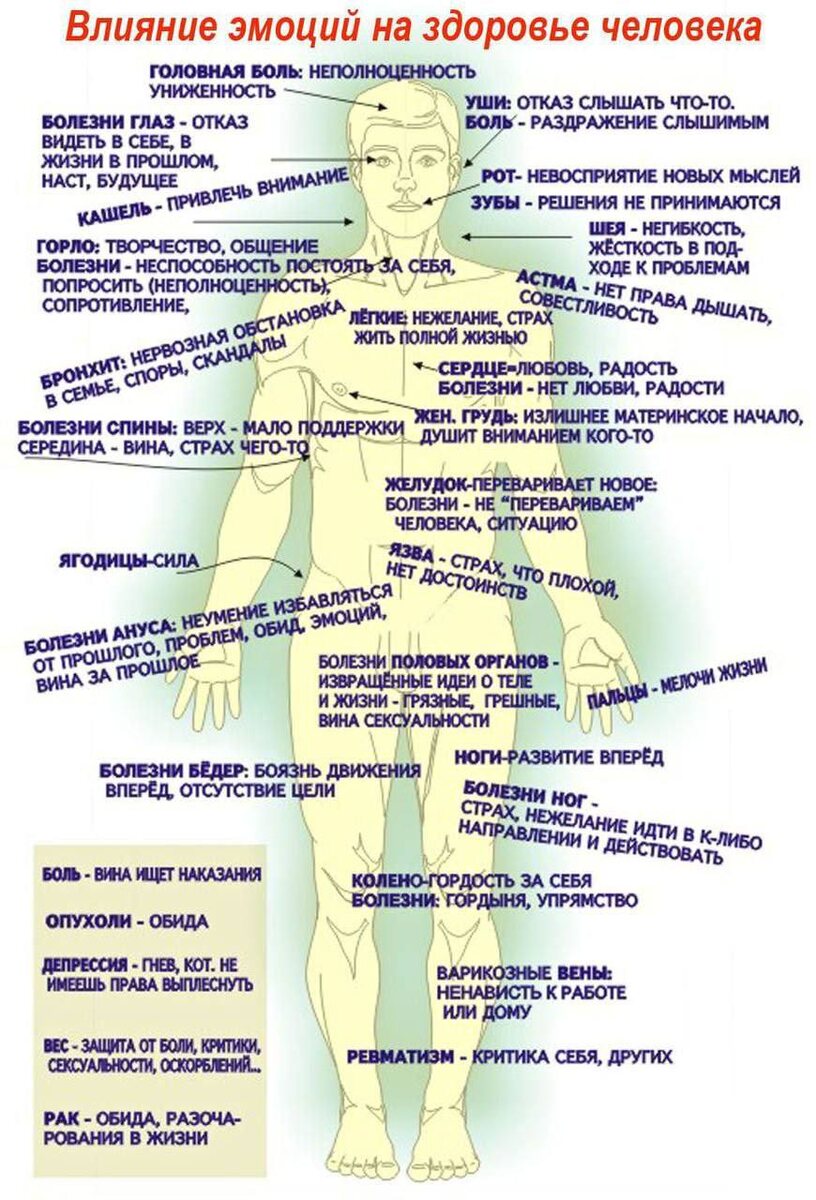 Изображение из интернета