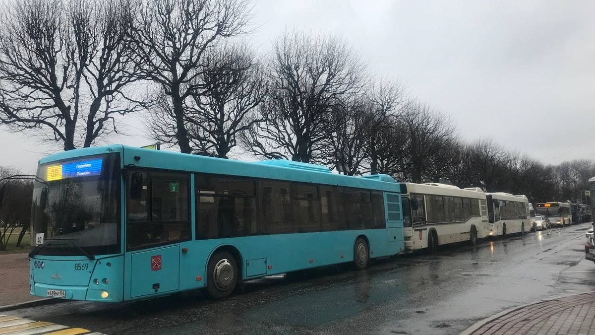     Источник: rosbalt.ru