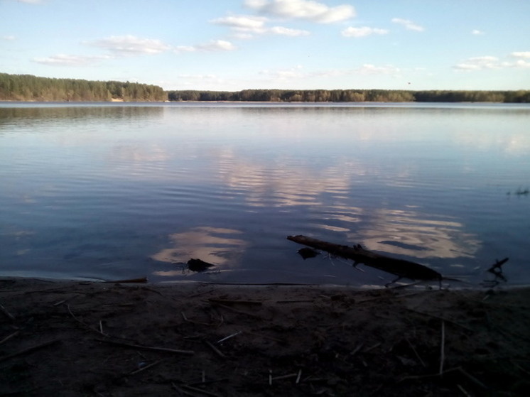   Анастасия Петрова