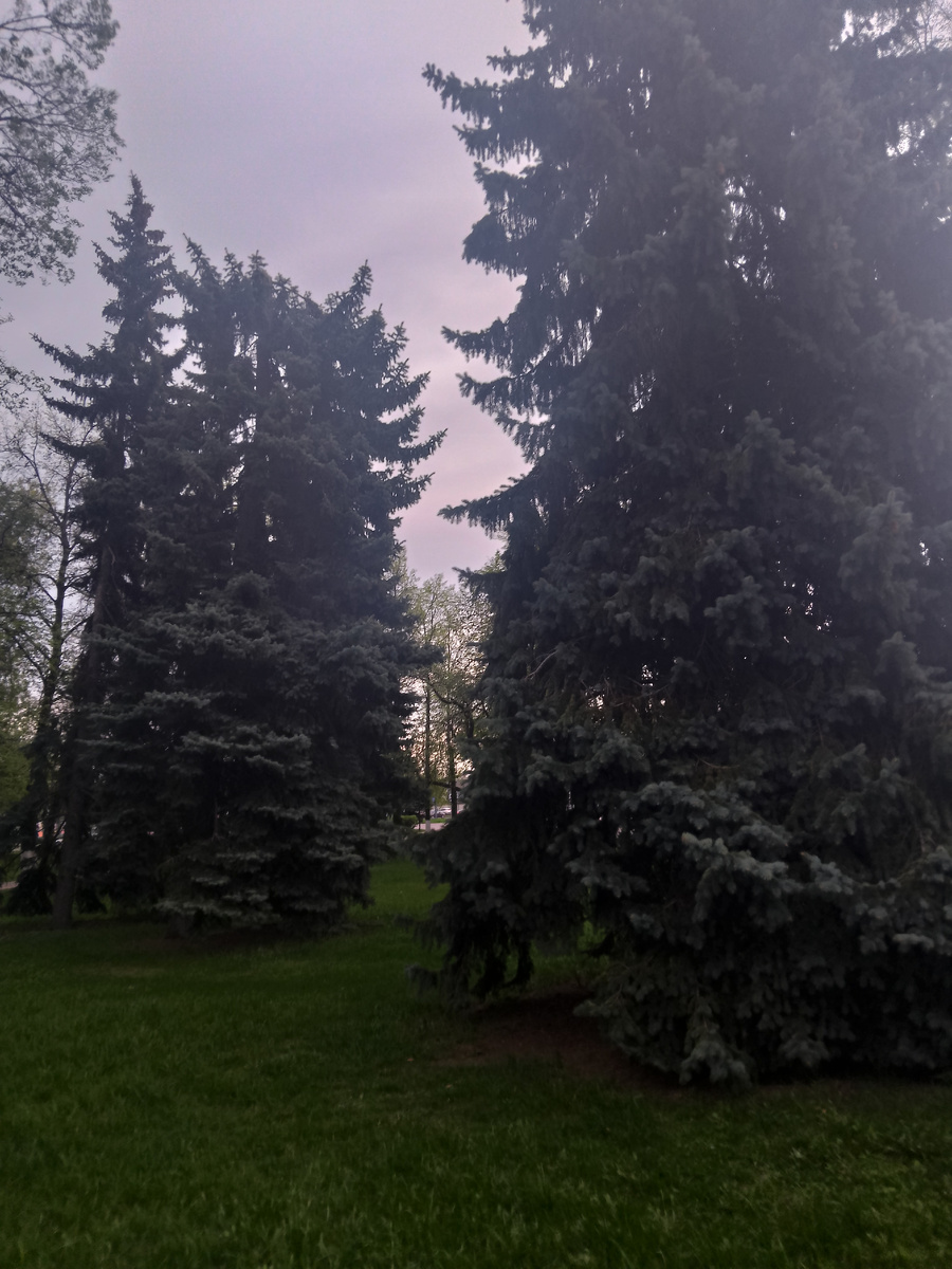 Фото автора.