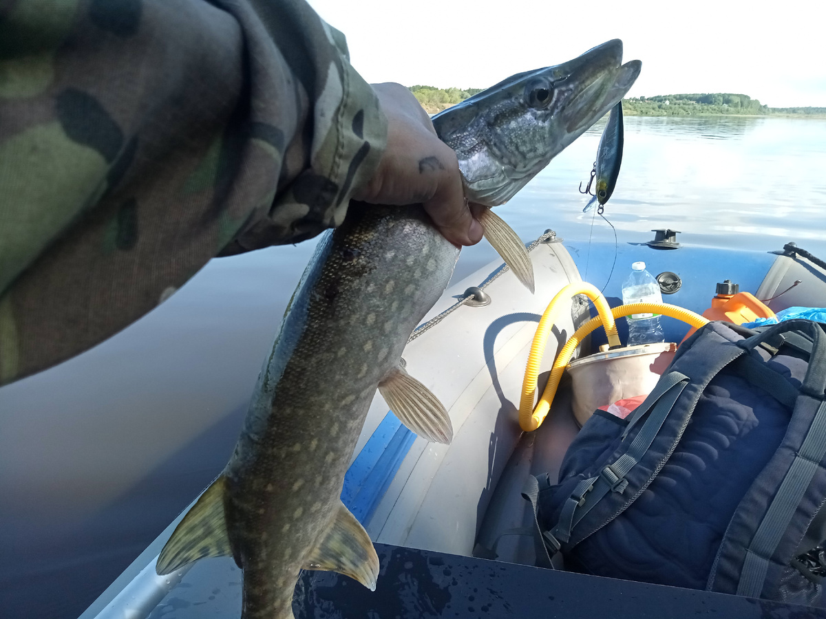 Копия Гридики отлично работает!