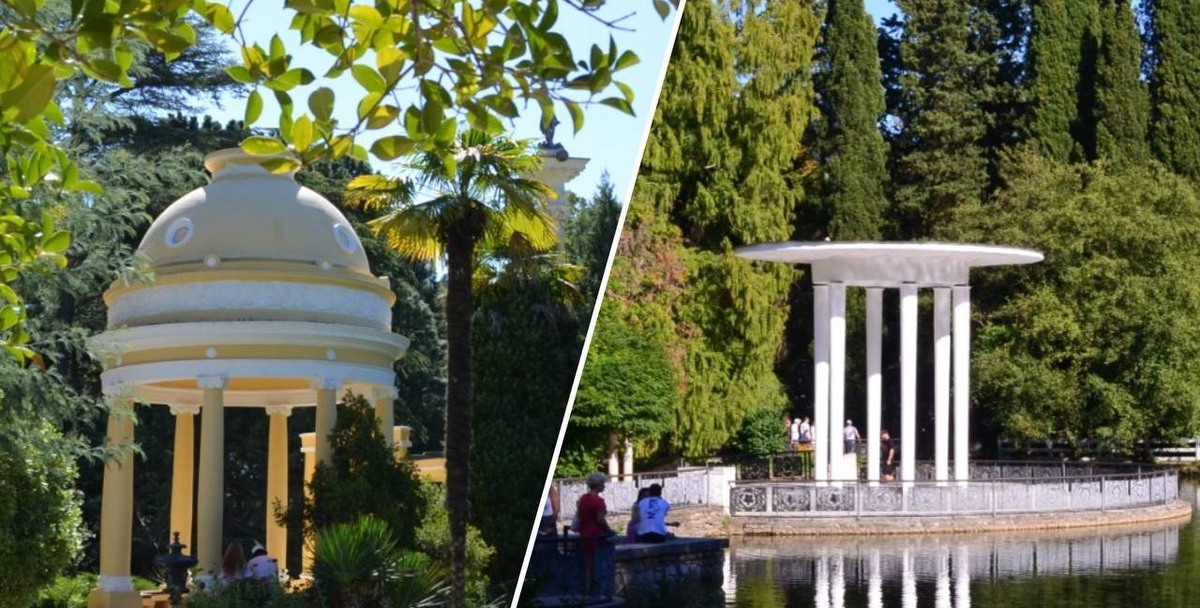    Фото: пресс-служба Сочинского нацпарка