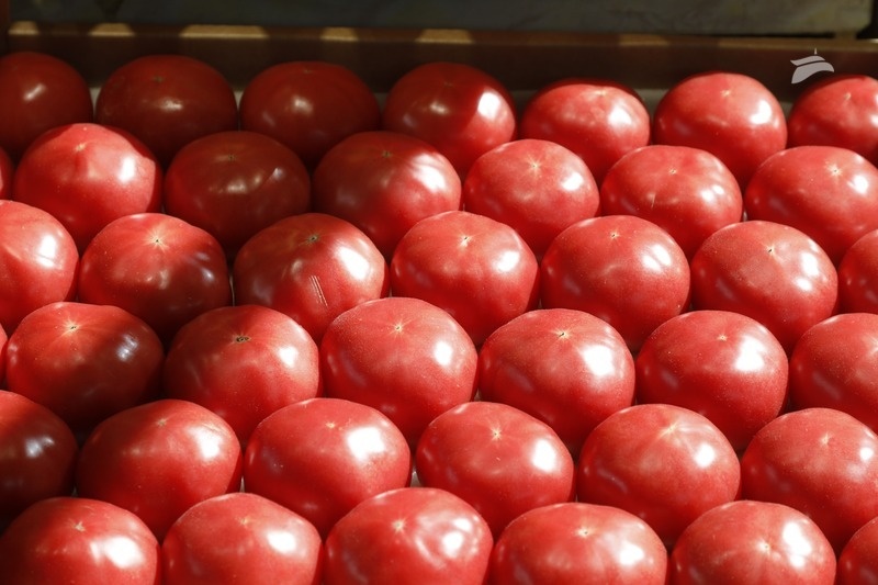      Фото: ИА «Победа26»