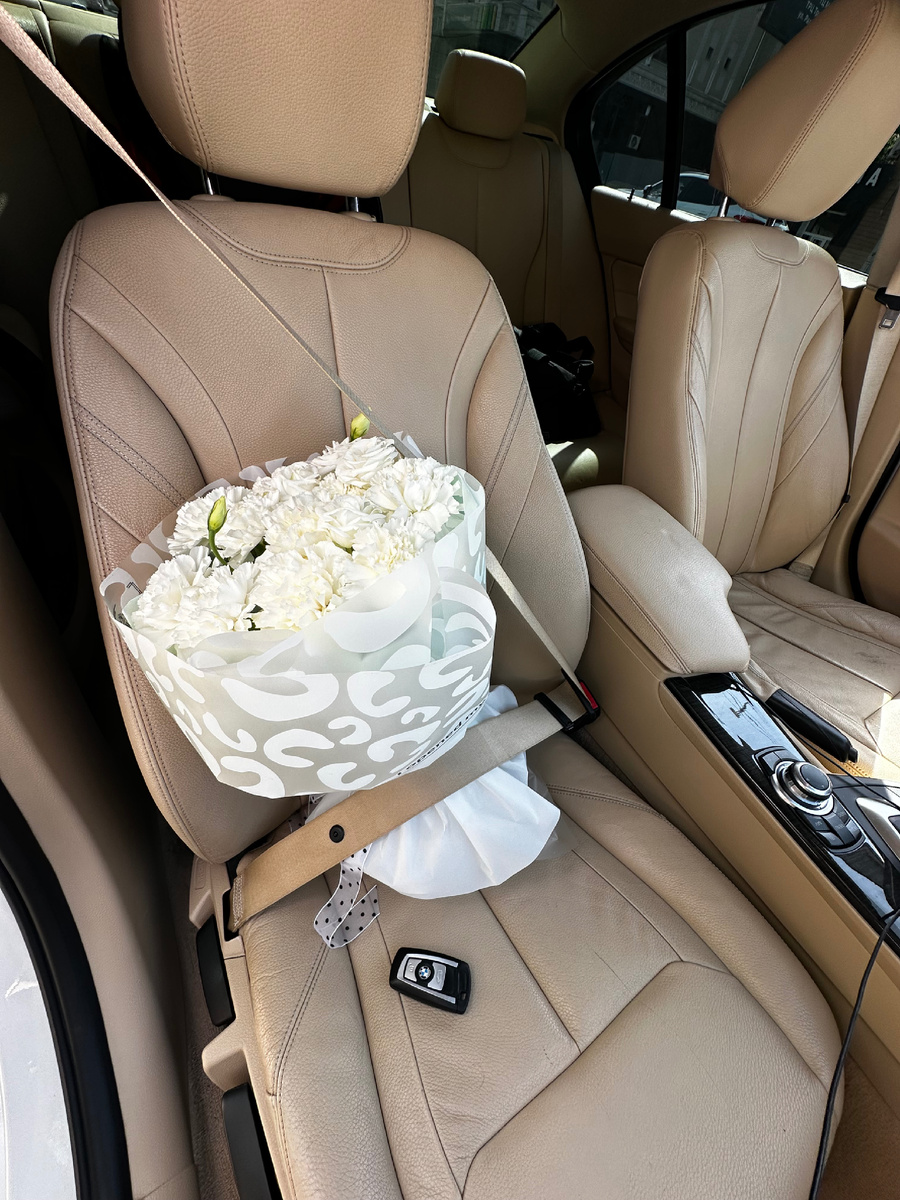 Помощь с эмоциями при встрече с аэропорта? Не проблема для них))