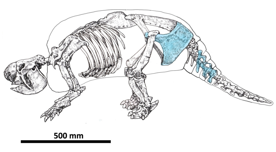   Mariano Del Papa et al. / PLoS ONE, 2024