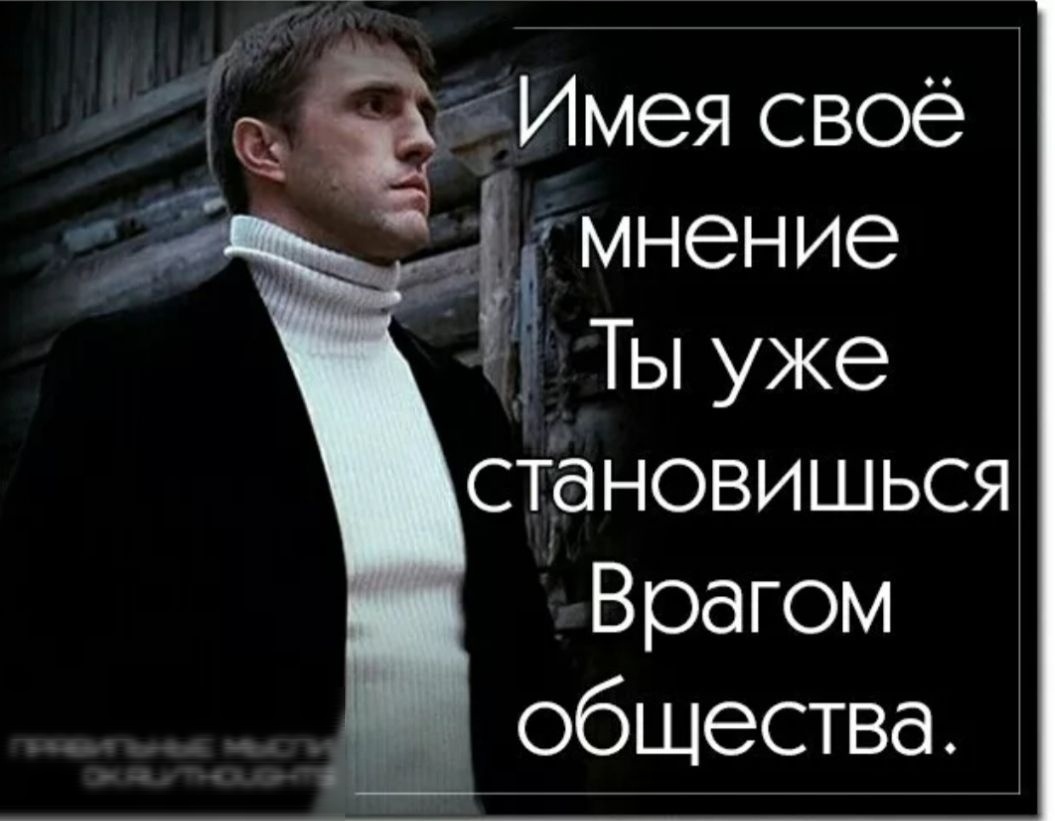 Циатата о мнении. Вдовиченко.
