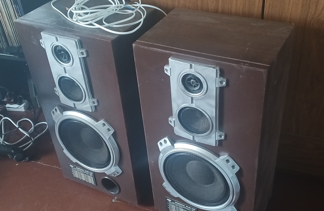 главные ответственные за звук. фото автора (листайте назад)