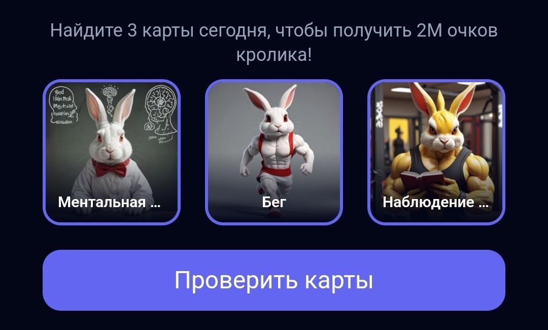 Комбо в Rocky Rabbit на 19.07.2024 г.