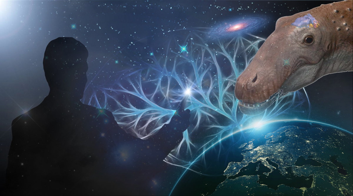 Изображение из открытого источника