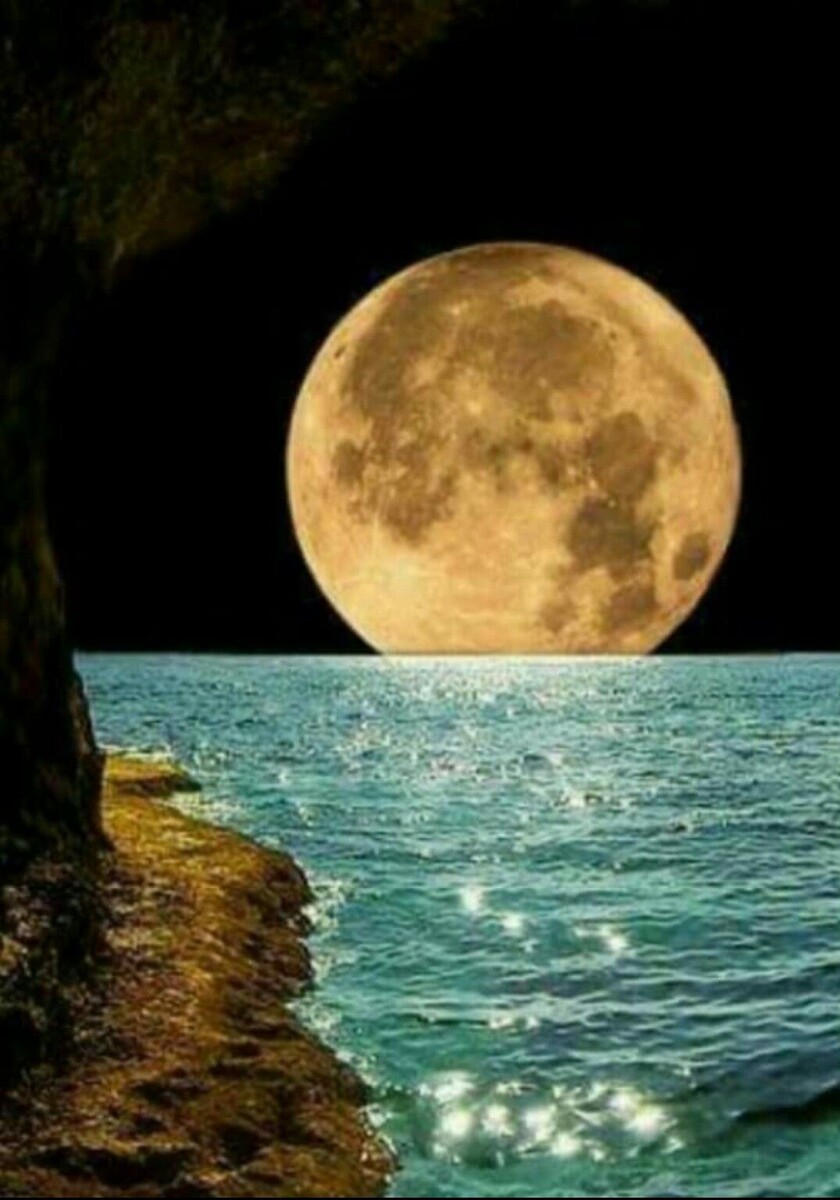 Яндекс. Открытый источник 