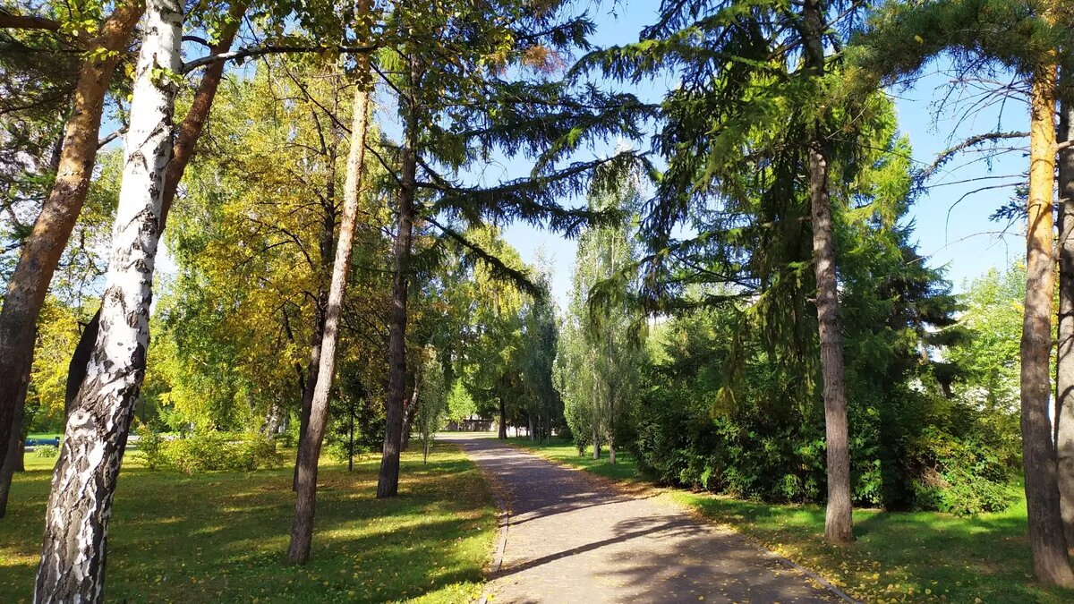     Источник: gorod55.ru