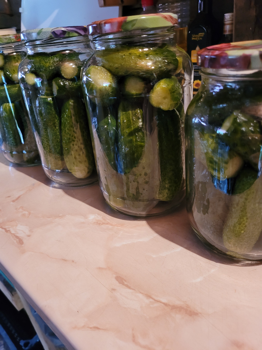 Баночки готовы залиться рассолом. Фото автора.