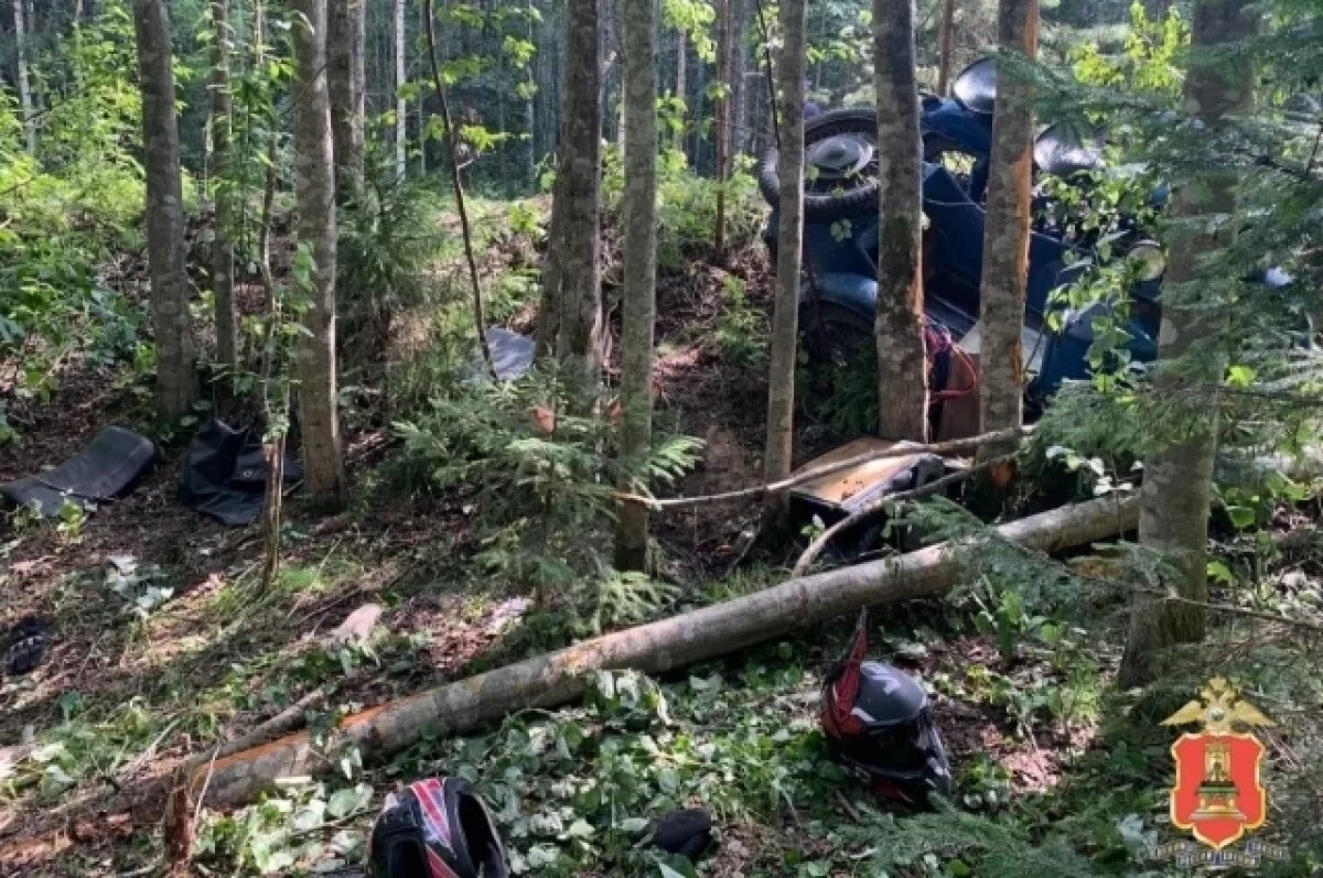    В Тверской области на устроившего смертельное ДТП подростка завели дело