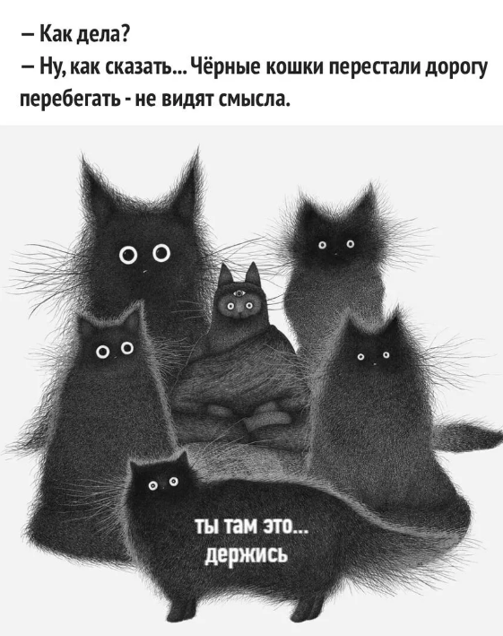 КОТЫ СОЧУВСТВУЮЩИЕ