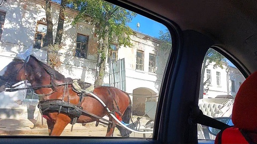 В семейный архив. Первый авторепортаж моего пятилетнего внука! Мож династия??😉😄