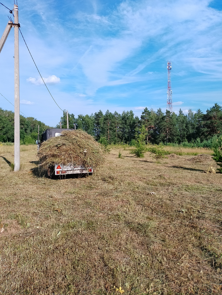 Рабочая лошадка 