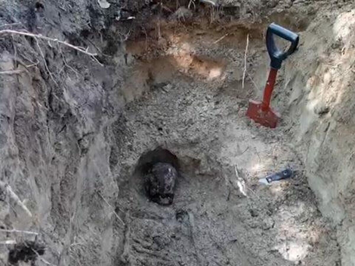    Раскопки на месте захоронения узников финских концлагерей в Карелии© РИА Новости