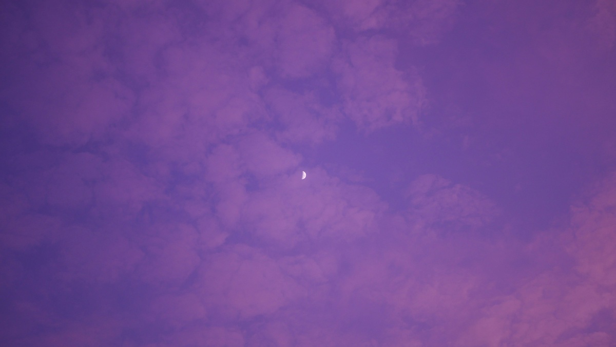 Фото с бесплатного фотостока https://unsplash.com, автор Yash Kumar
