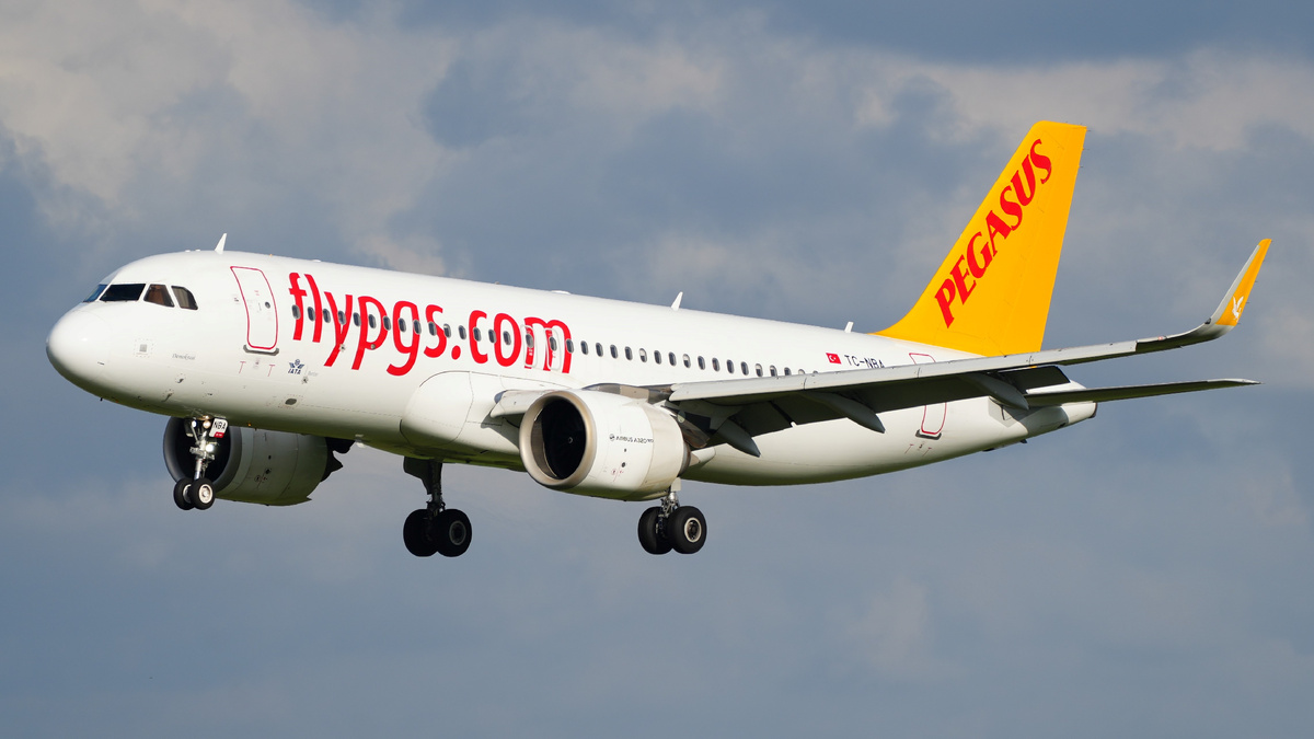 Vliegmaatschappij pegasus sales