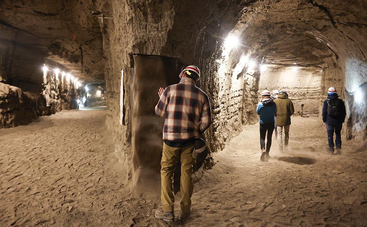 Ученые оценили риск пандемии из-за «зомби-вирусов»Общество