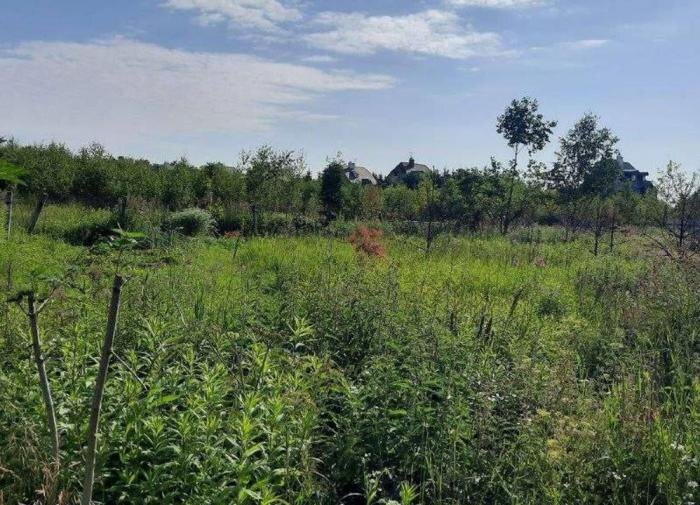 Юрист Рыбченко: можно ли приватизировать заброшенный участок в СНТ