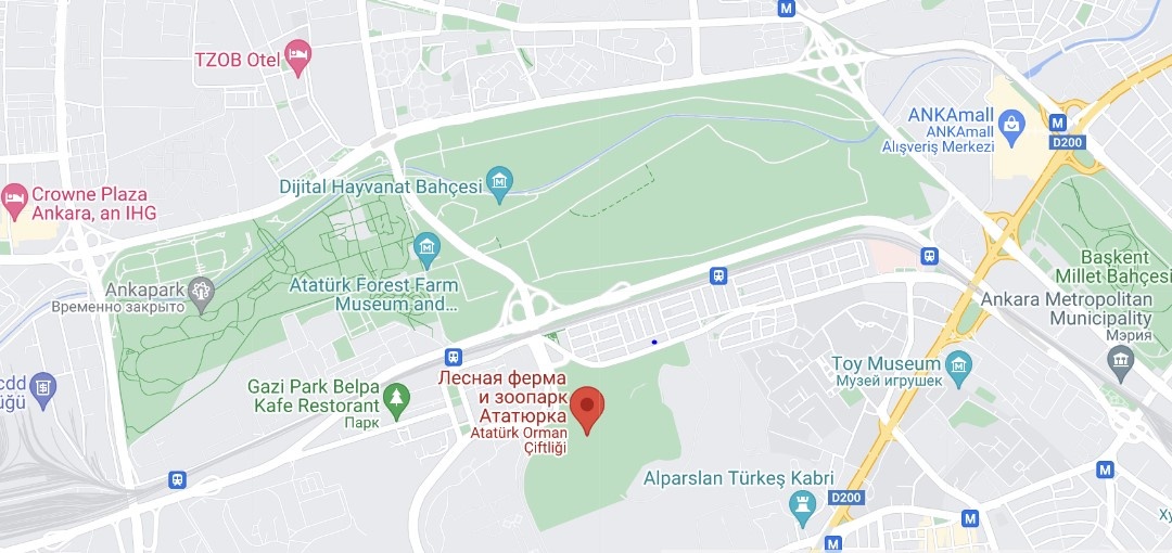 Скрин с сайта https://www.google.com/ 