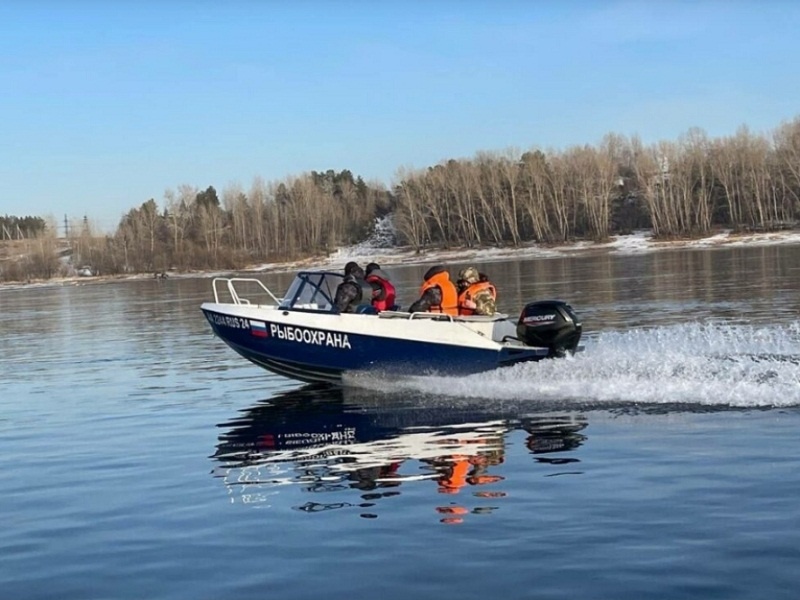 Инспекция в рейде