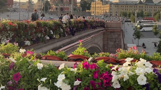 Мосты украшенные цветами москва. Цветы на мосту. Мост украшенный цветами. Арка с цветами. Висконсин деллс цветочные арки.